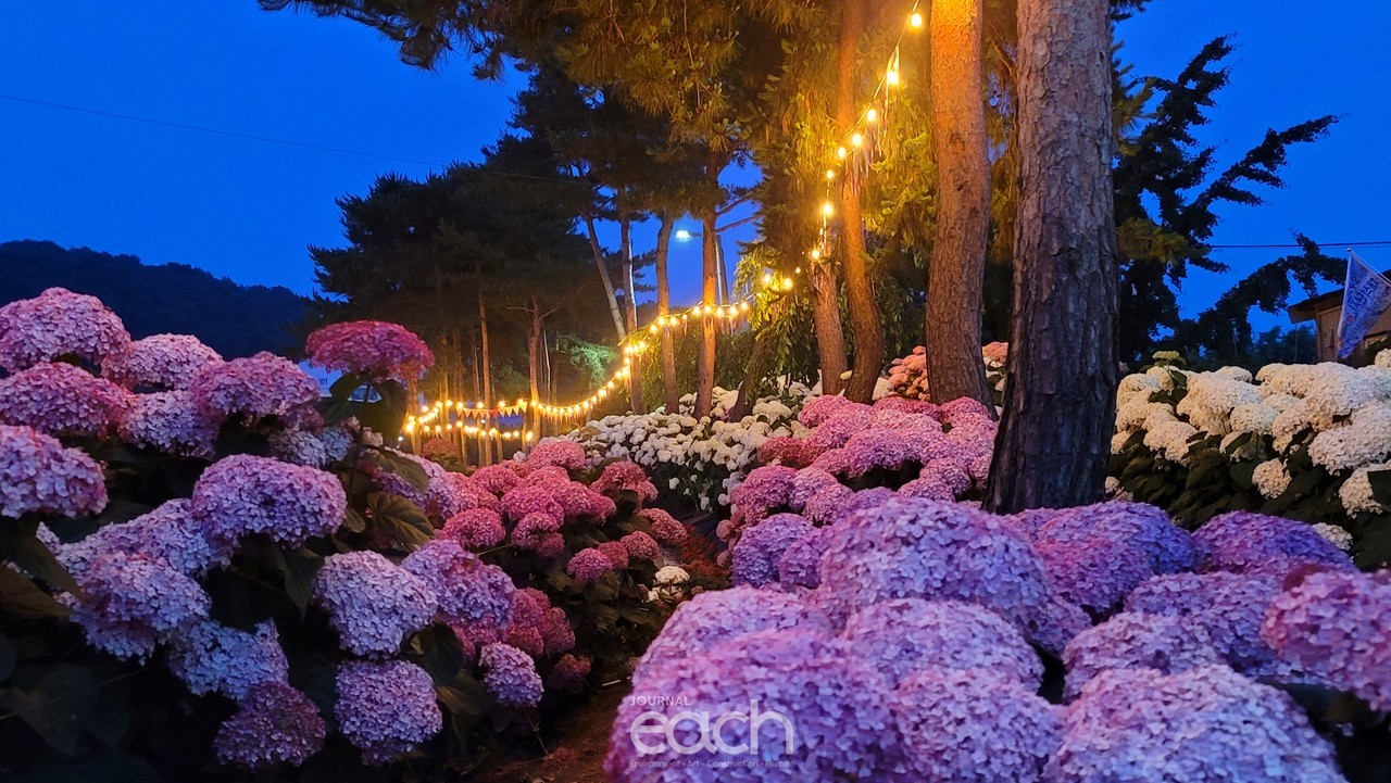 촬영 - 박미애 사진가