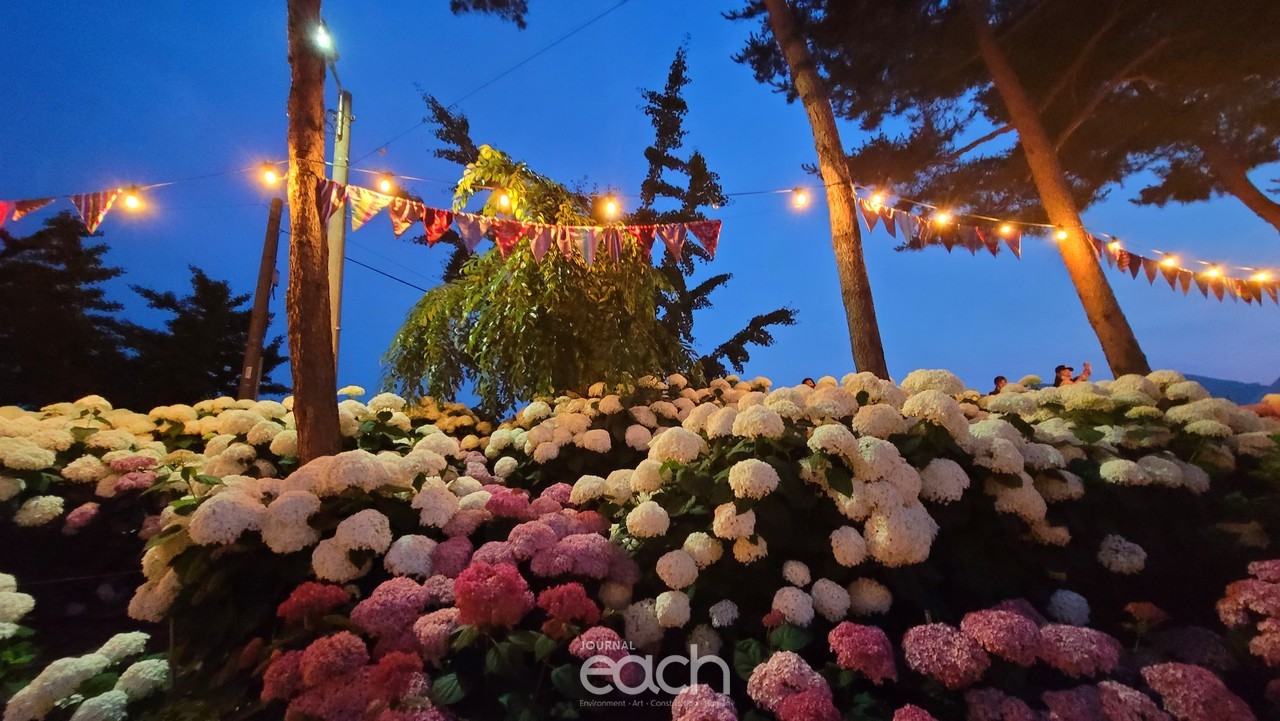 촬영 - 박미애 사진가