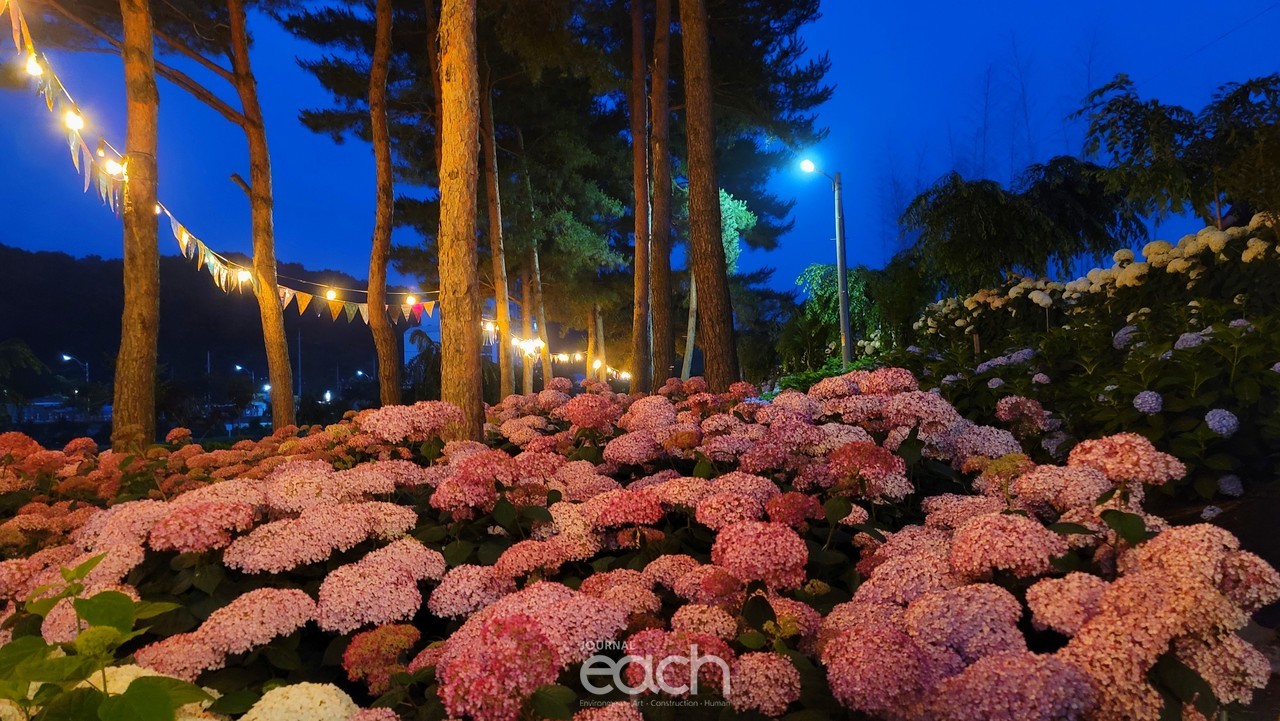 촬영 - 박미애 사진가