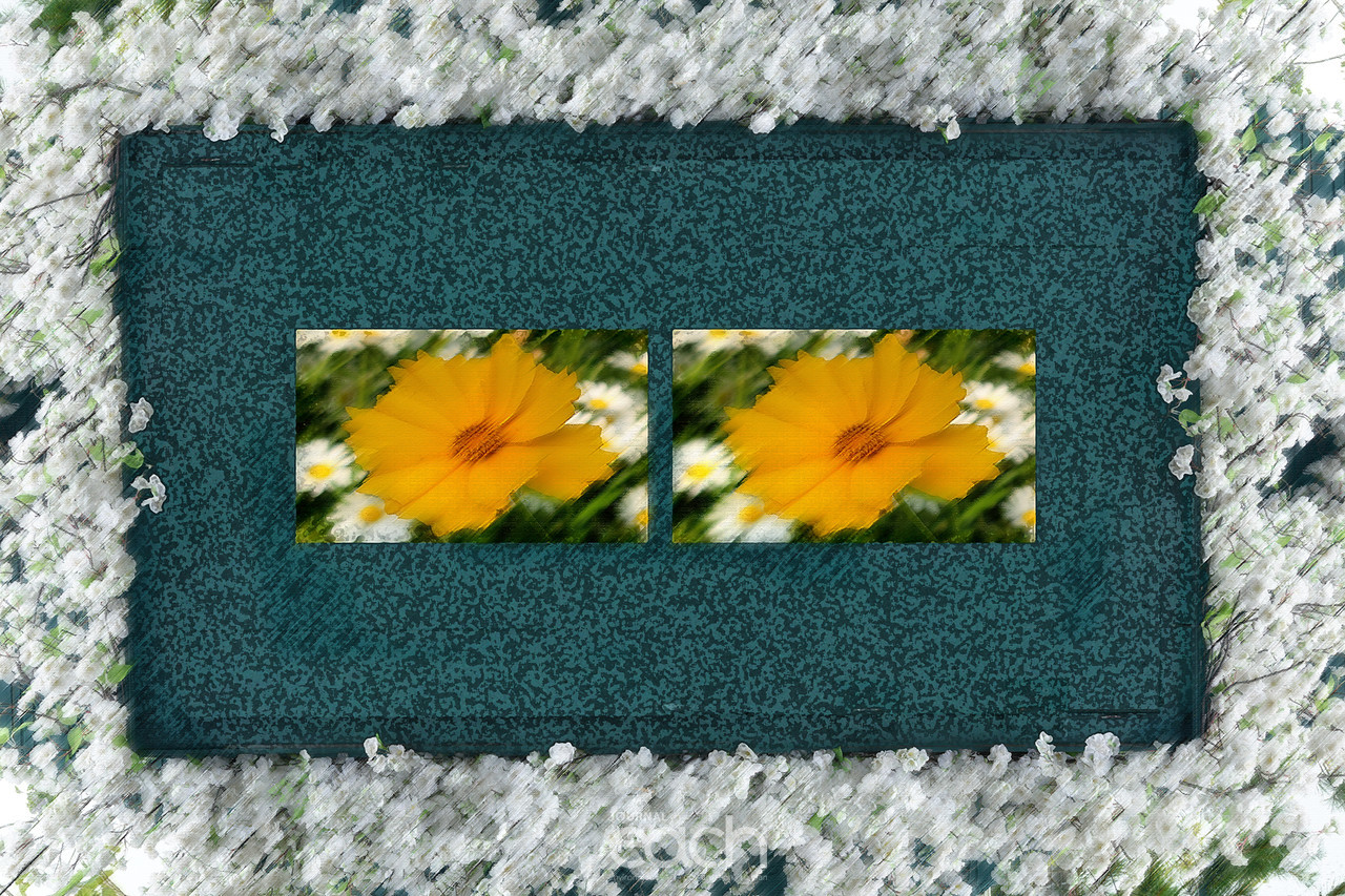 이미지 제공 - 박미애 사진가