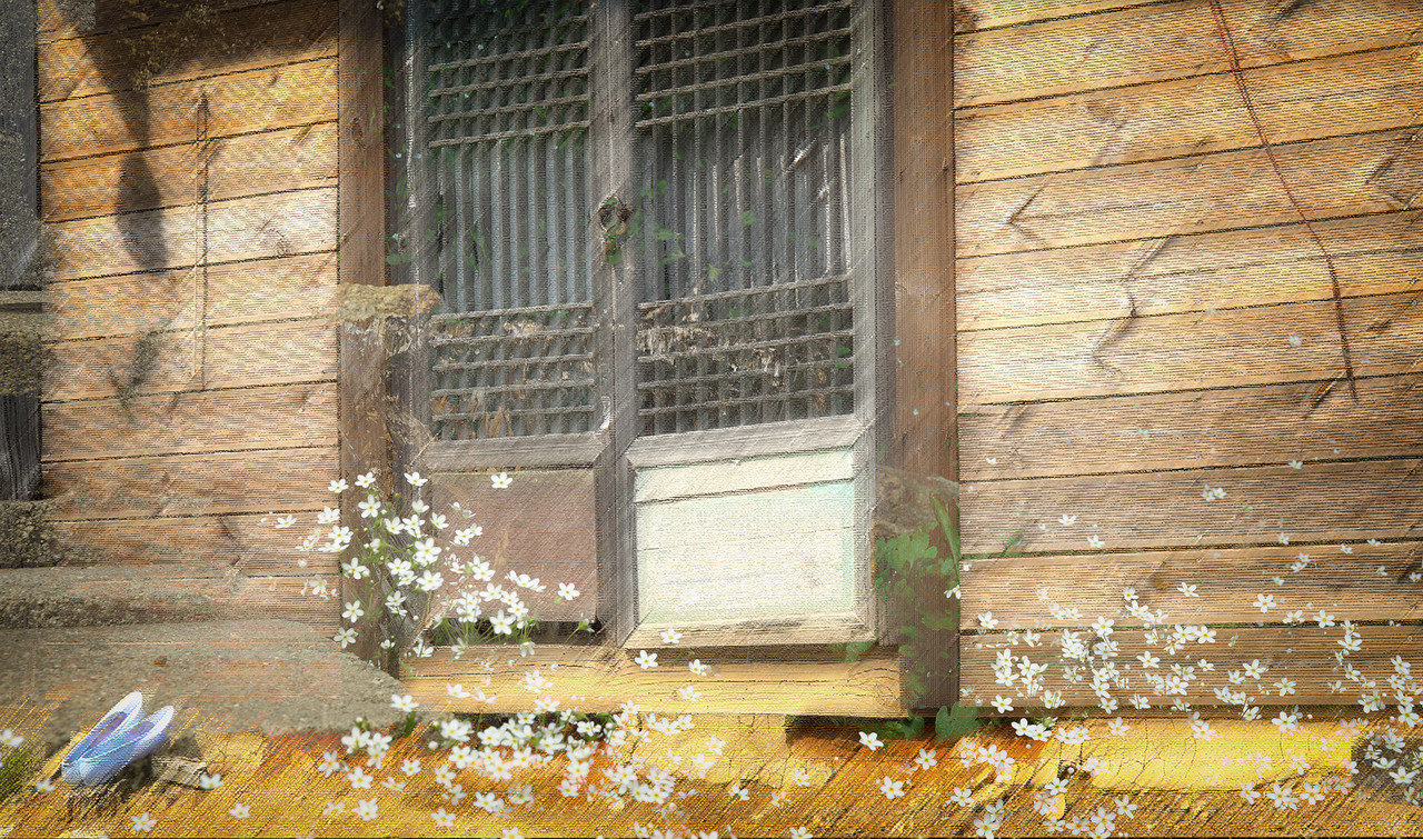 이미지 제공 - 박미애 사진가