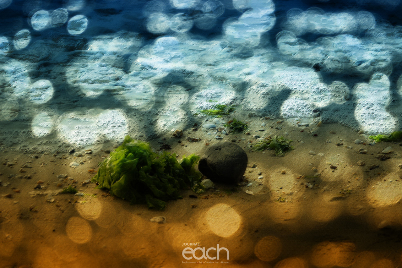 이미지 제공 - 박미애 사진가