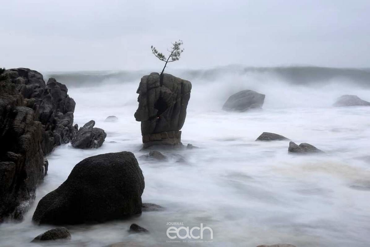 만조 때의 서낭바위 모습 (이미지 제공 : 강원 민준규 사진가)