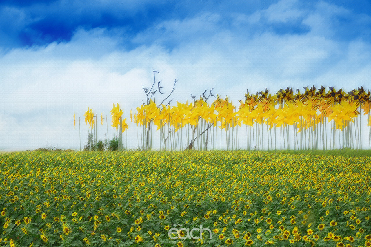 이미지 제공 - 박미애 사진가