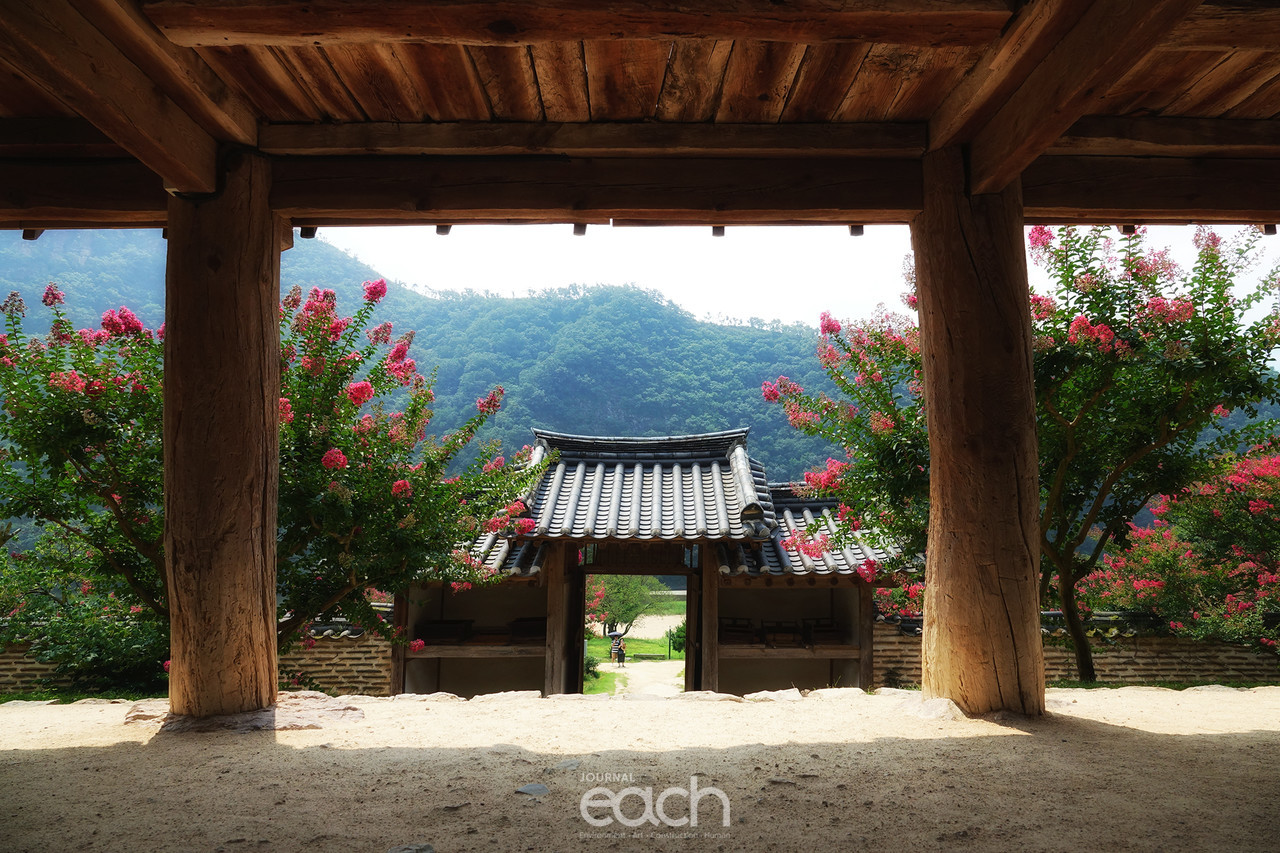 촬영 - 박미애 사진가