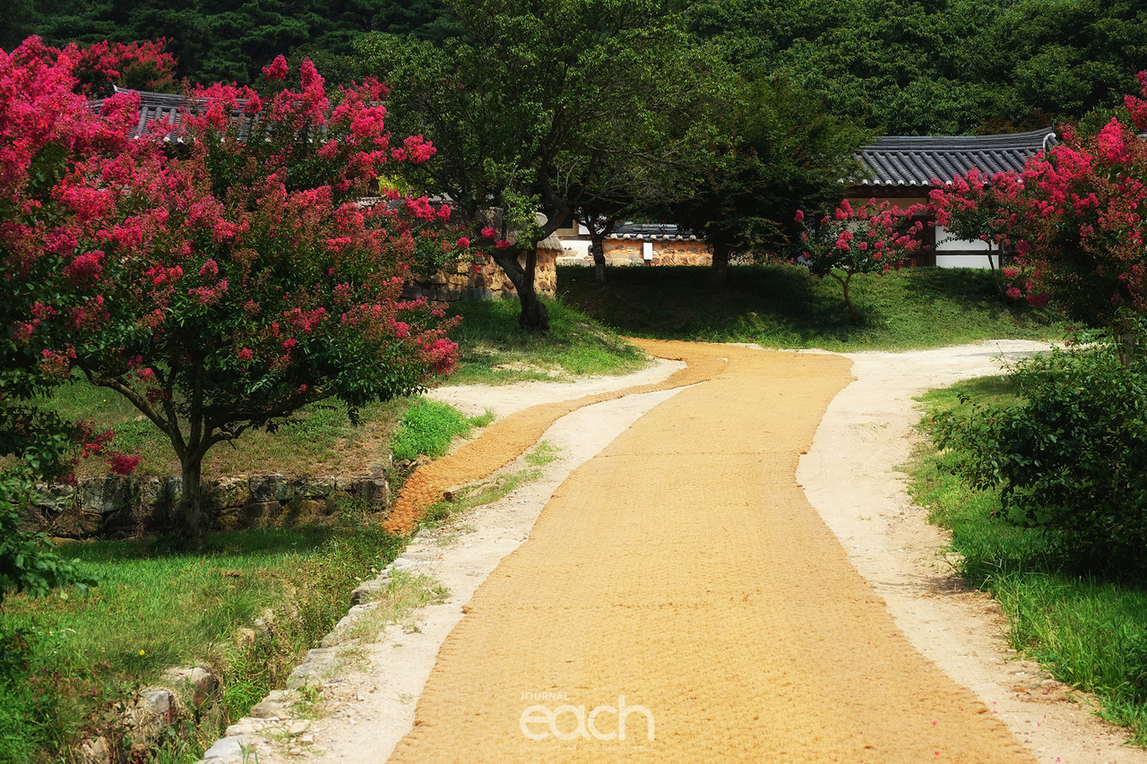 촬영 - 박미애 사진가