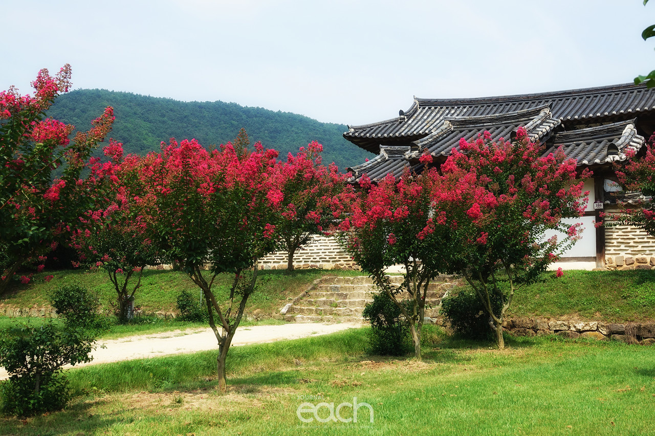 촬영 - 박미애 사진가