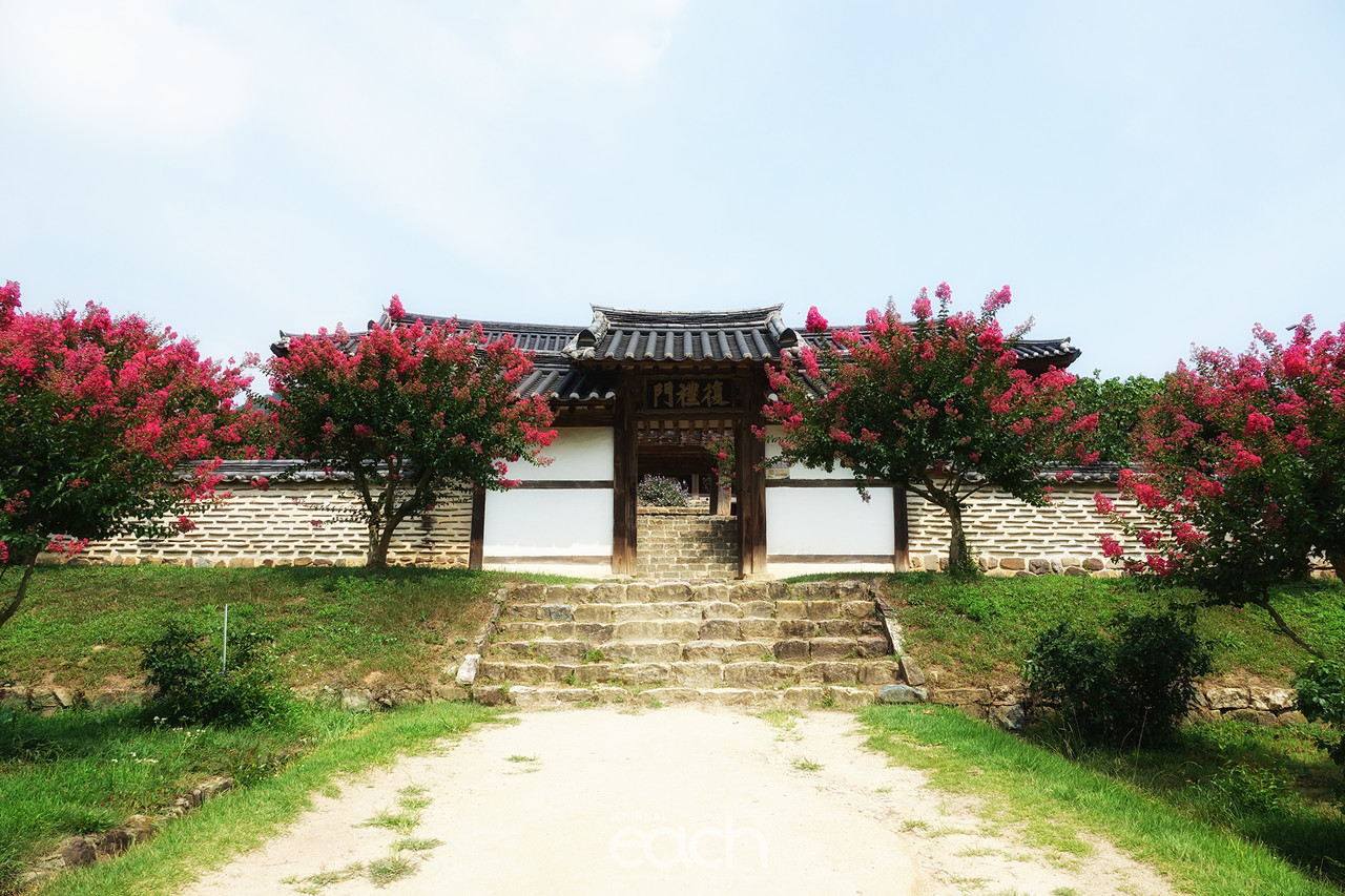 촬영 - 박미애 사진가