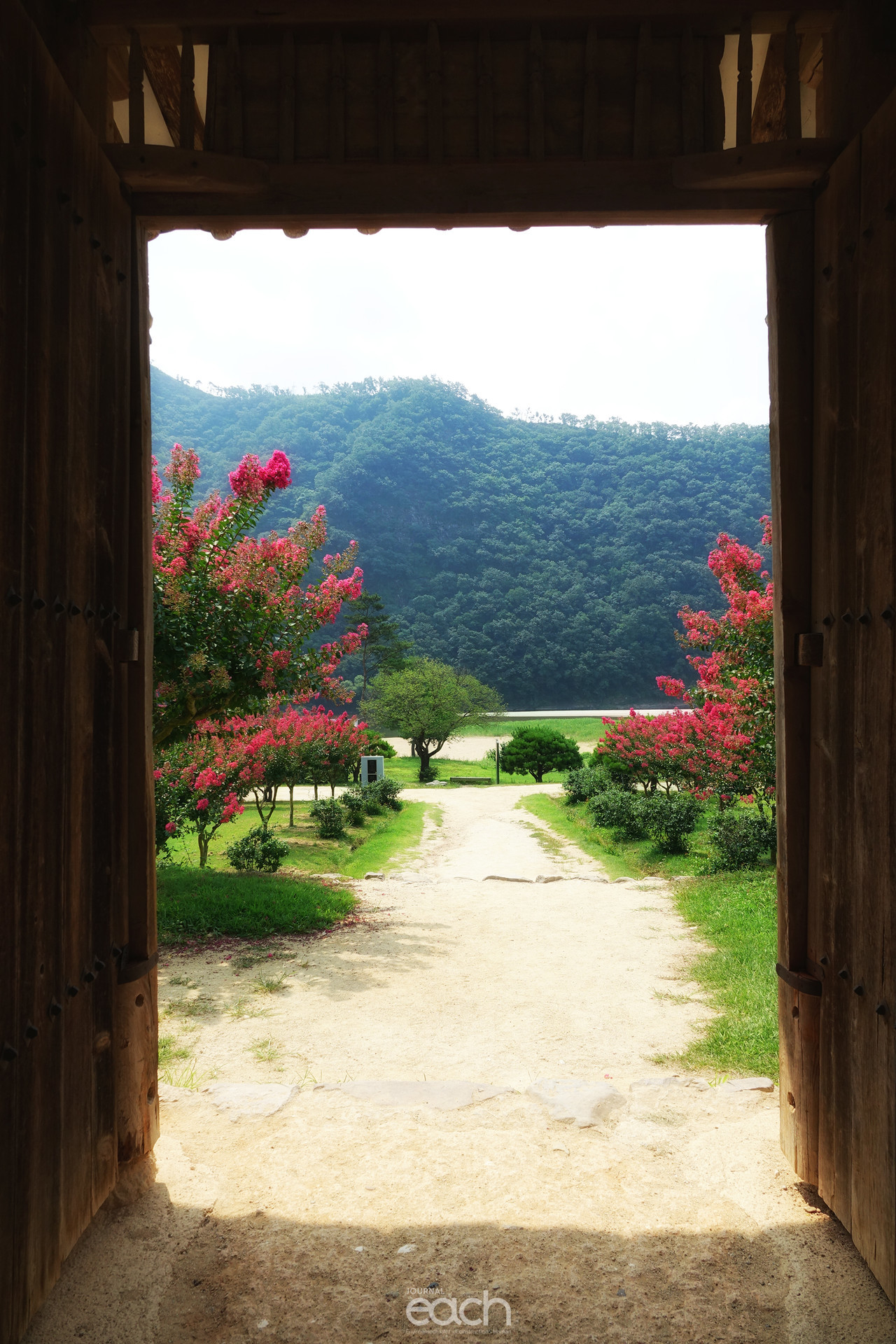 촬영 - 박미애 사진가