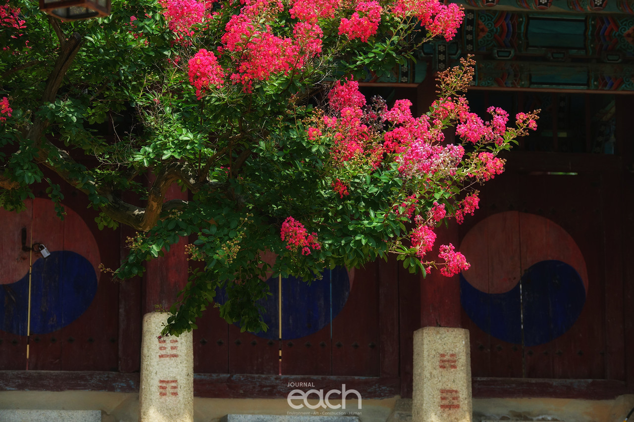 ​​촬영 - 박미애 사진가