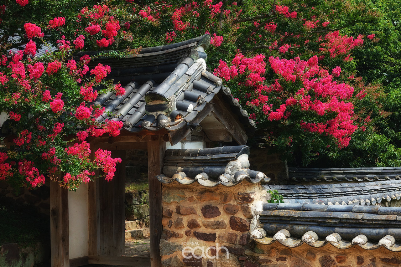 ​​촬영 - 박미애 사진가