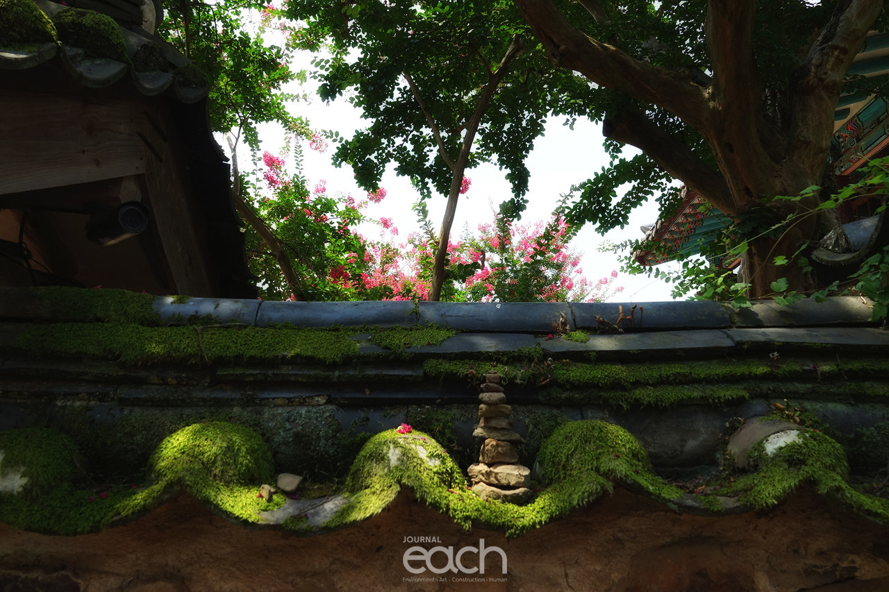 ​​촬영 - 박미애 사진가