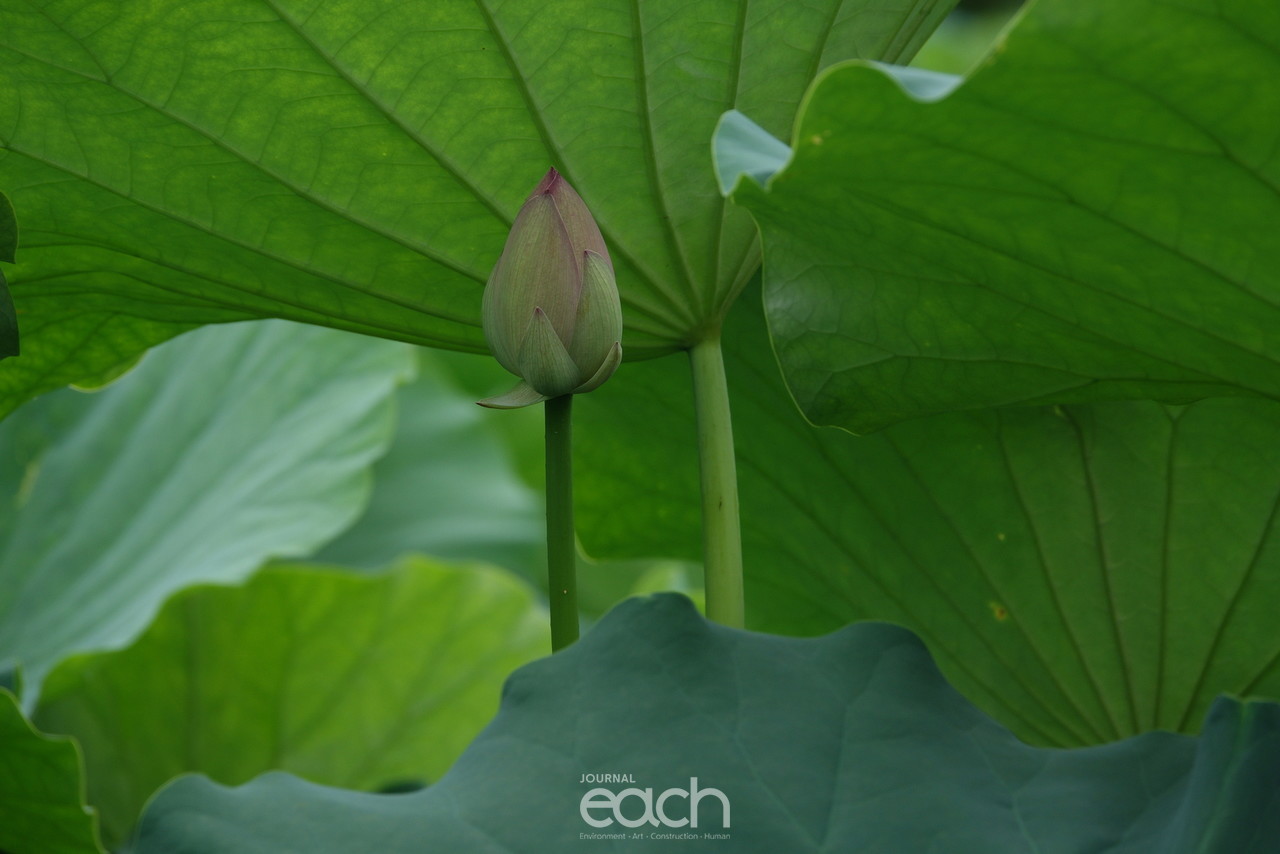 ⓒ 박미애 사진가