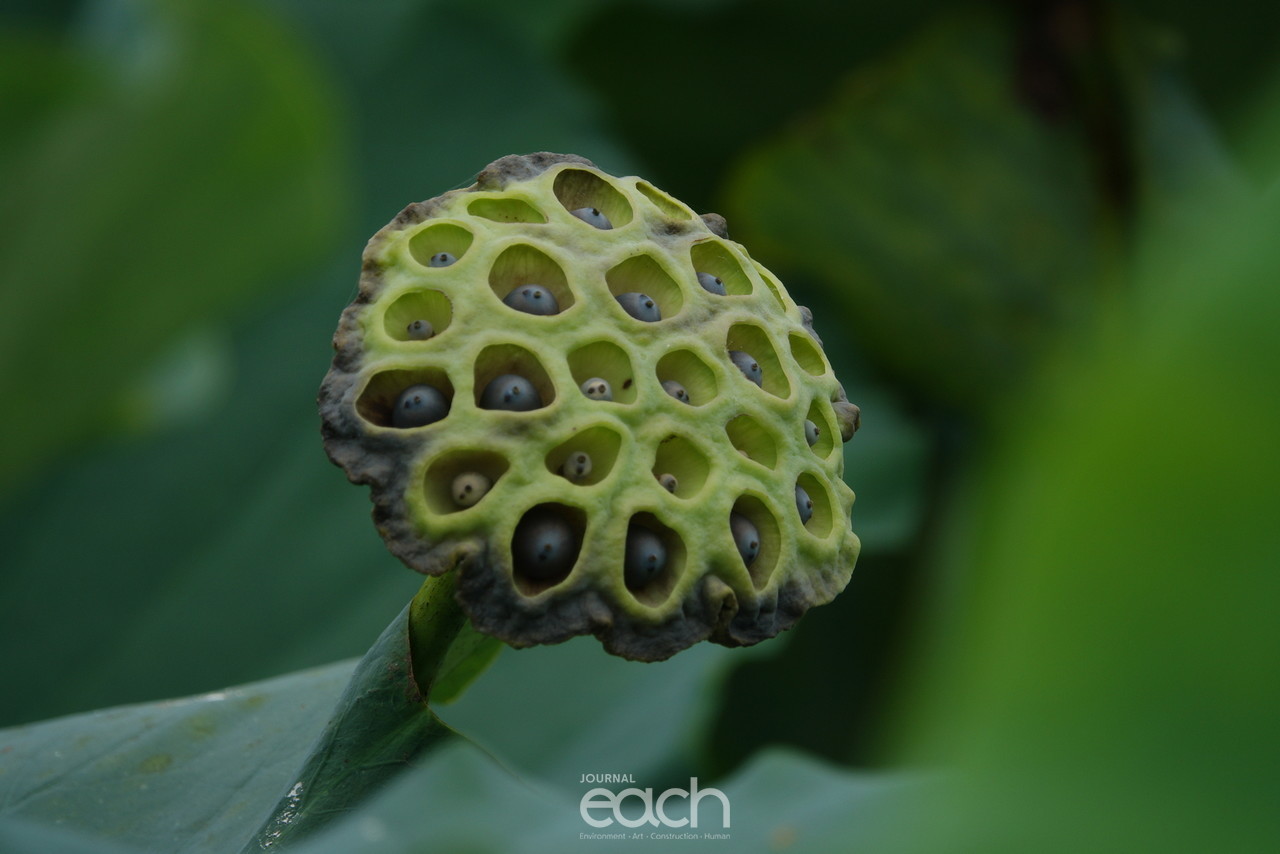 ⓒ 박미애 사진가