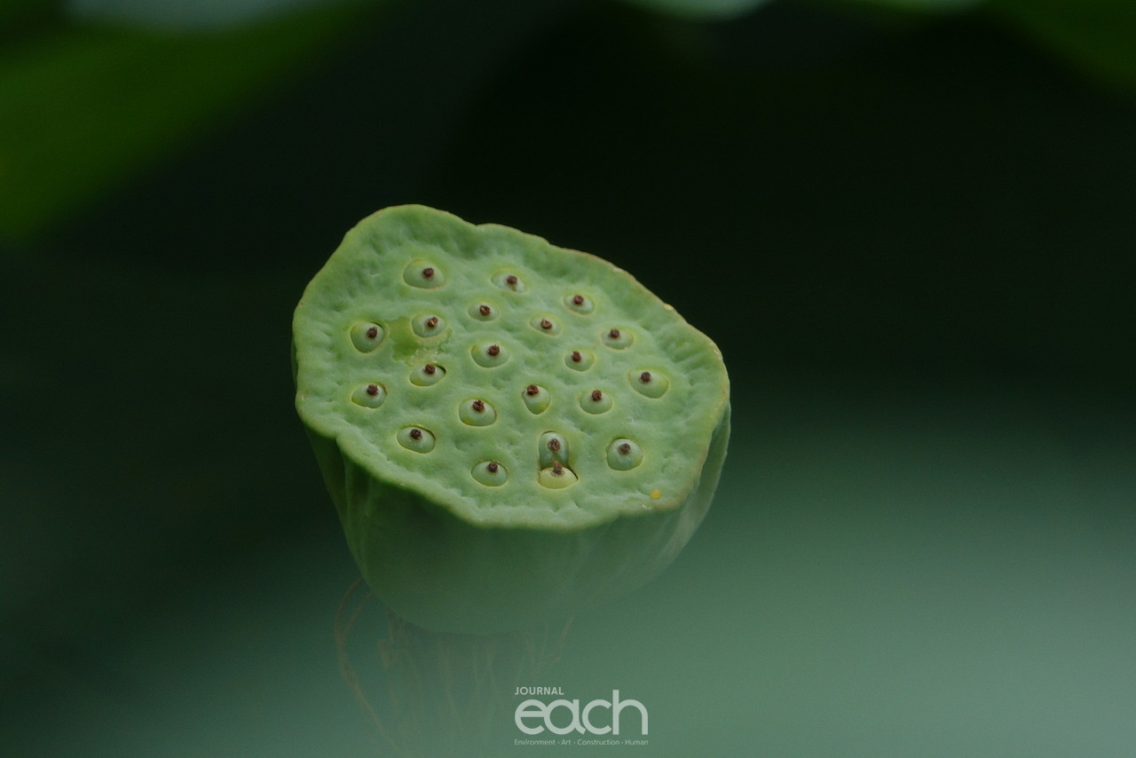 ⓒ 박미애 사진가