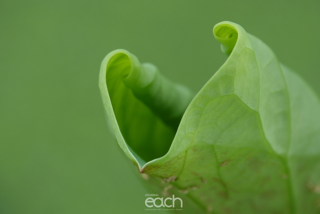 ⓒ 박미애 사진가