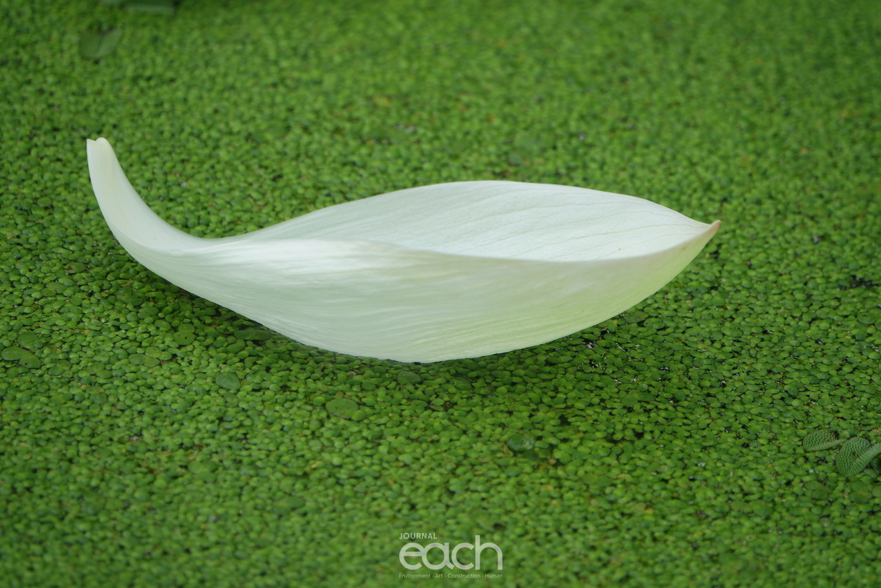 ⓒ 박미애 사진가