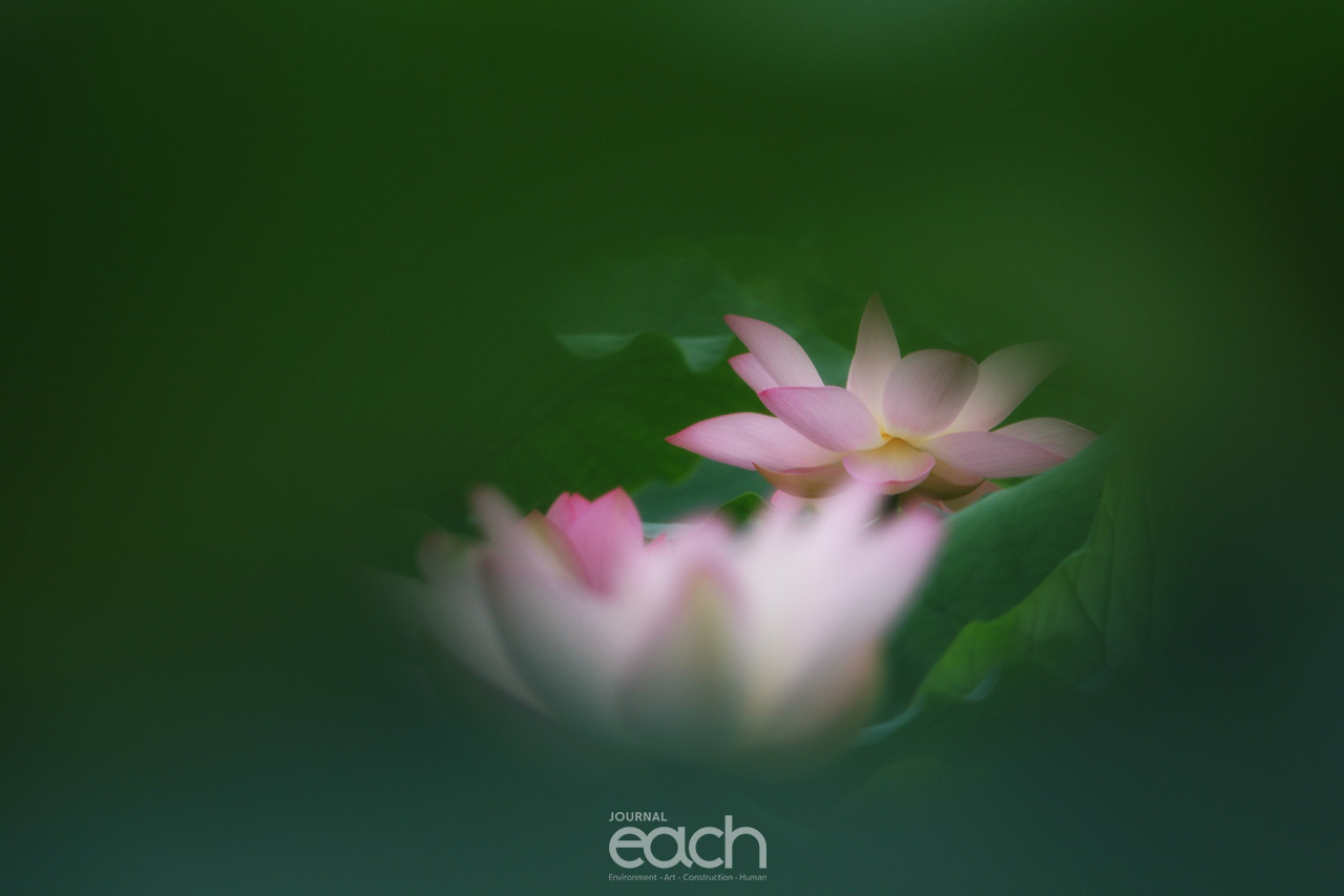 ⓒ 박미애 사진가