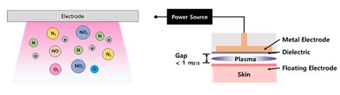 유전체 장벽 방전 플라즈마 전극 구조와 플라즈마 활성종 개념도(자료제공 : 경기도)