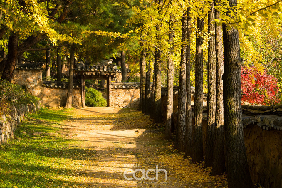 한국민속촌 가을 풍경 (자료제공 : 한국민속촌)