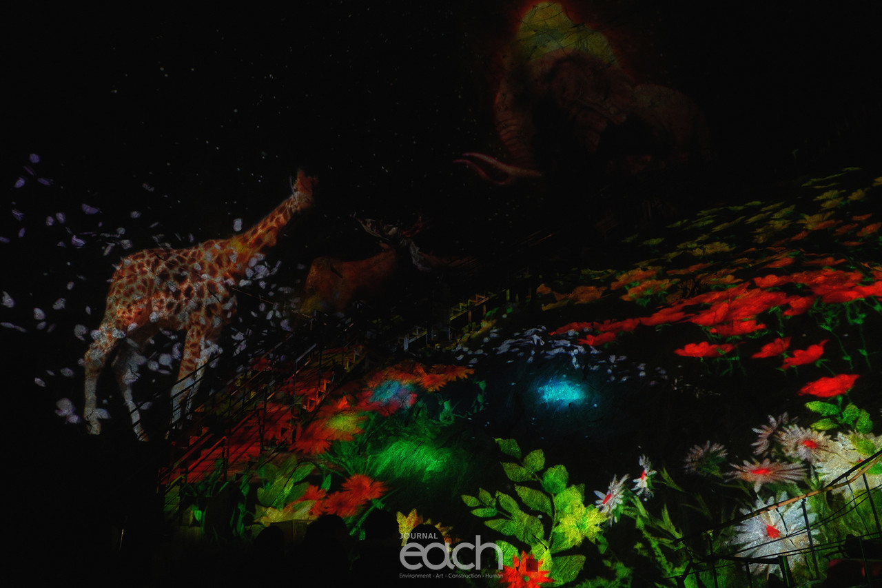 이미지 제공 - 박미애 사진가( 동굴 속 레이저 쇼)