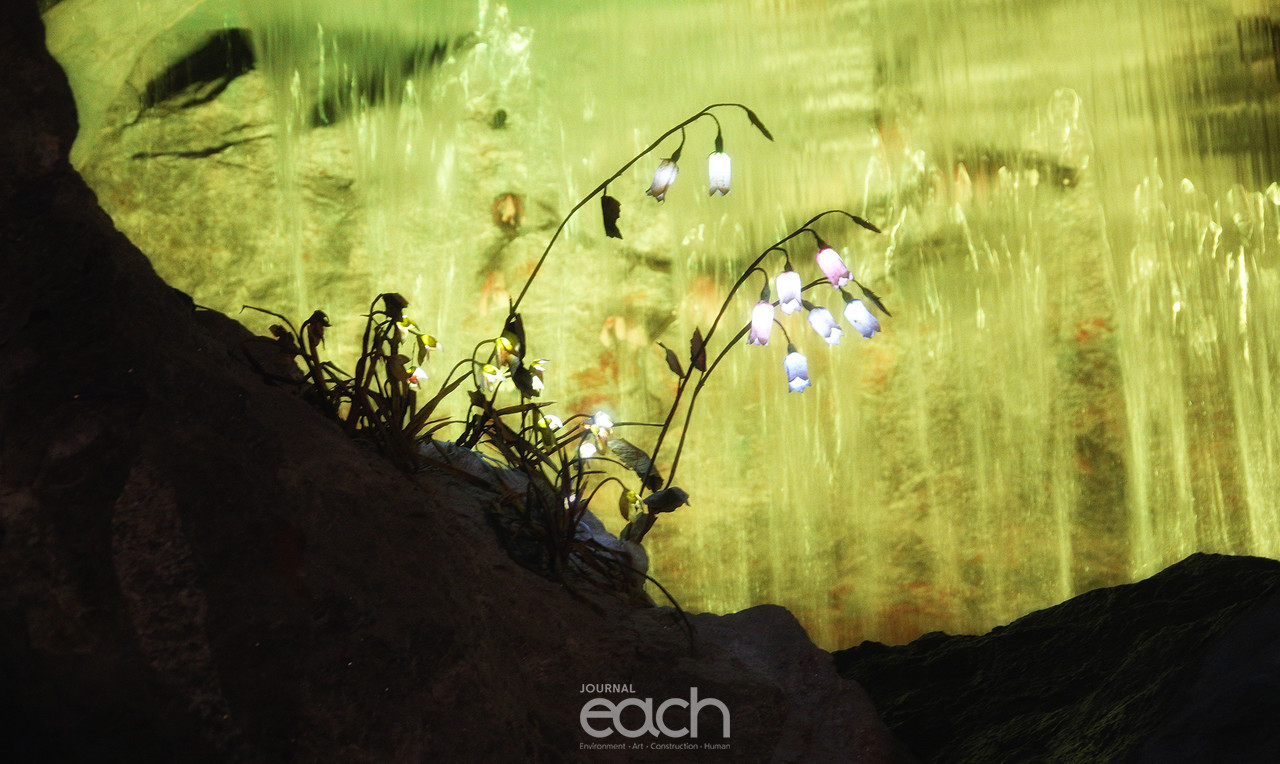 이미지 제공 - 박미애 사진가