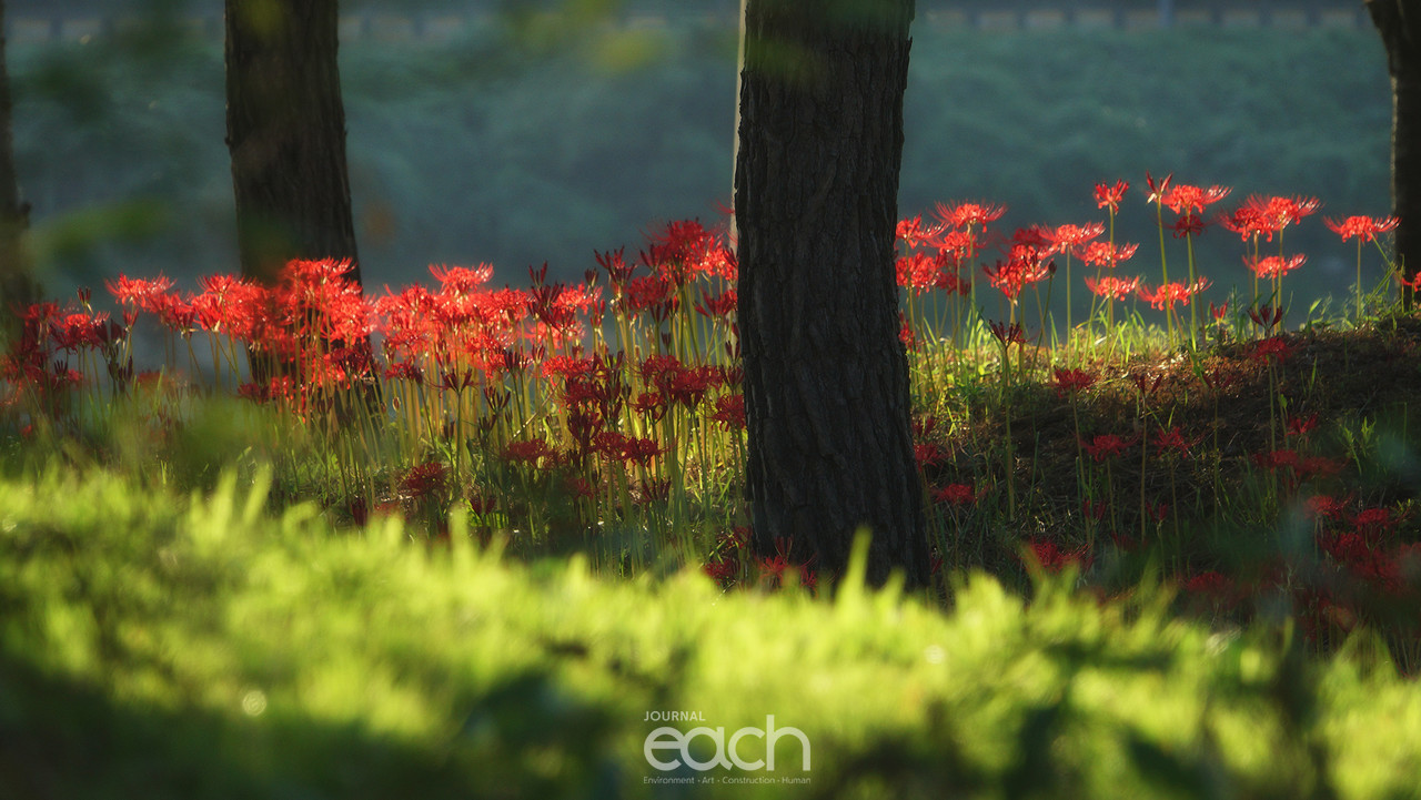 ⓒ 박미애 사진가