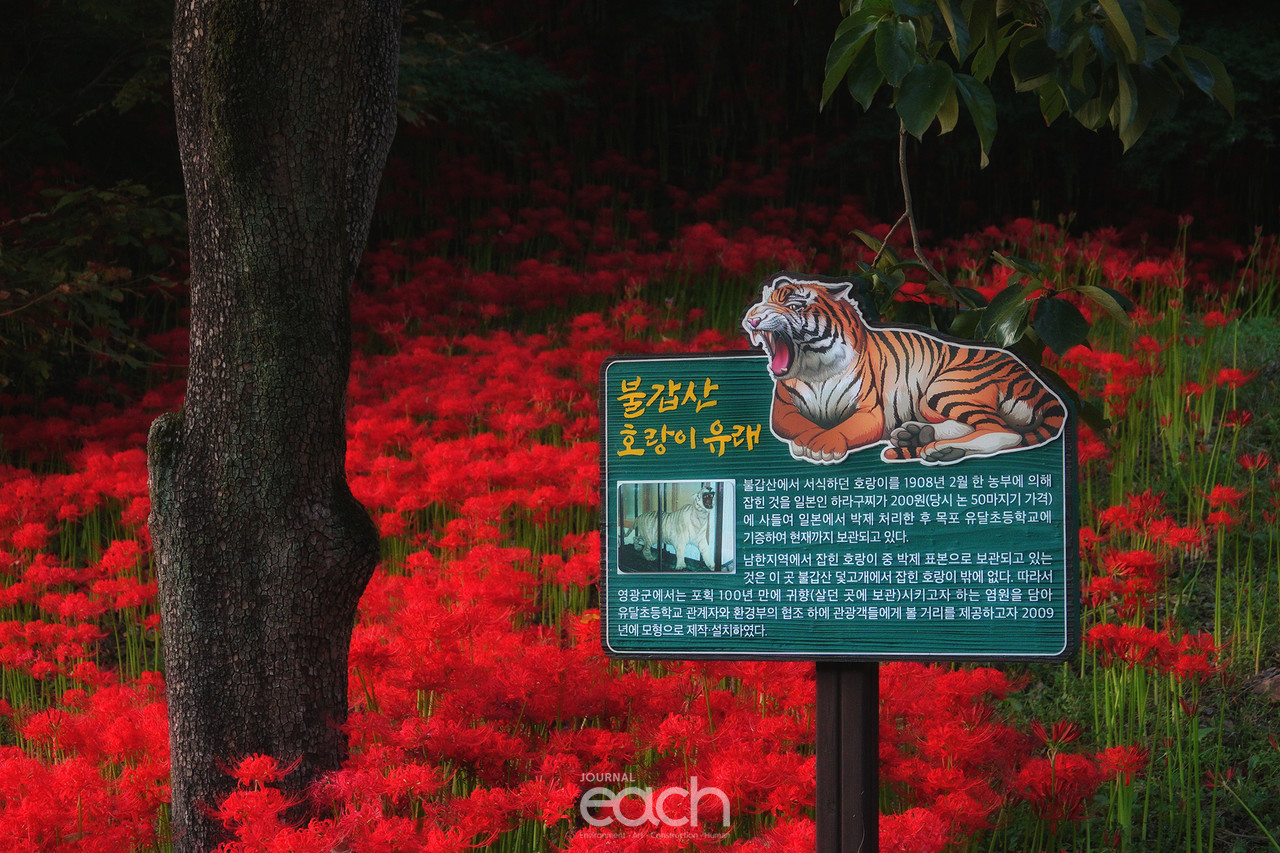 ⓒ 박미애 사진가