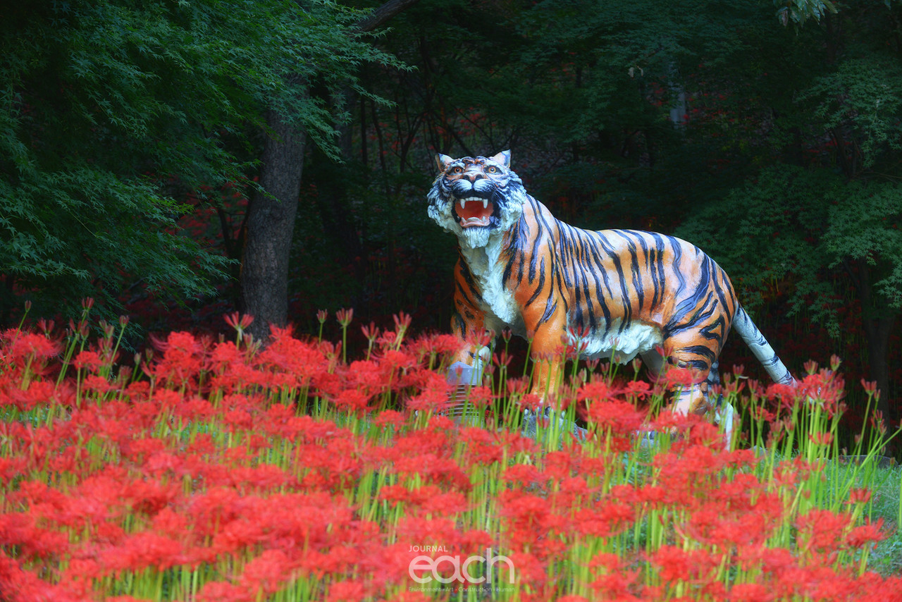 ⓒ 박미애 사진가