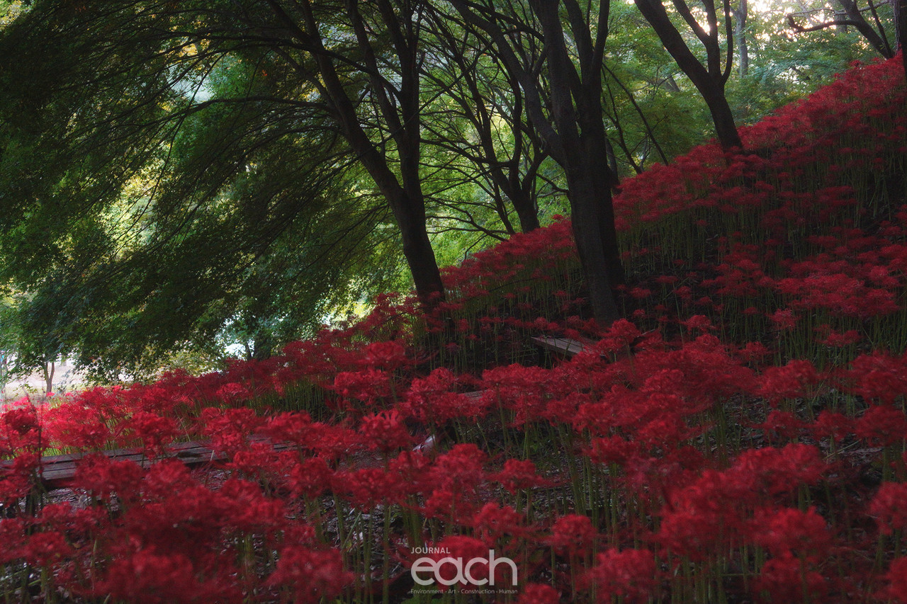 ⓒ 박미애 사진가