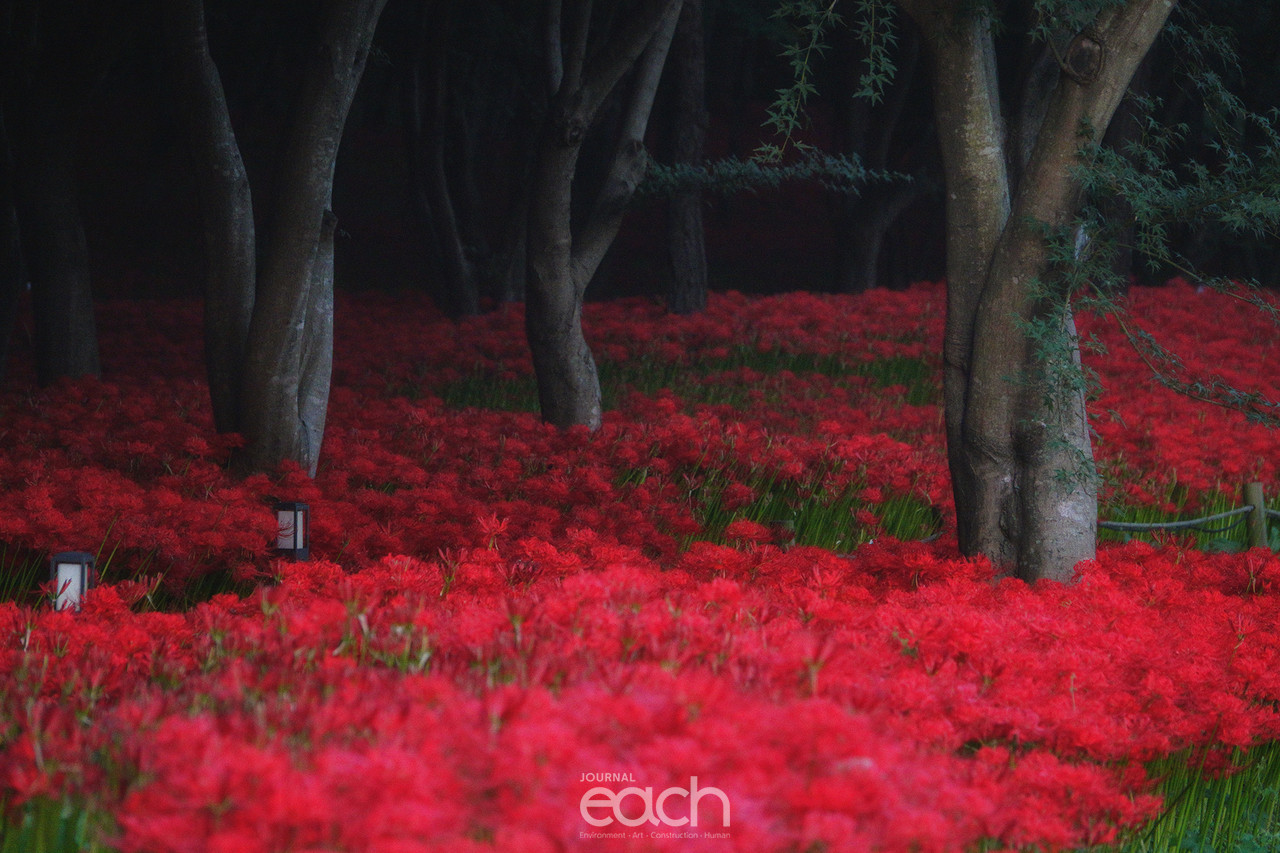 ⓒ 박미애 사진가