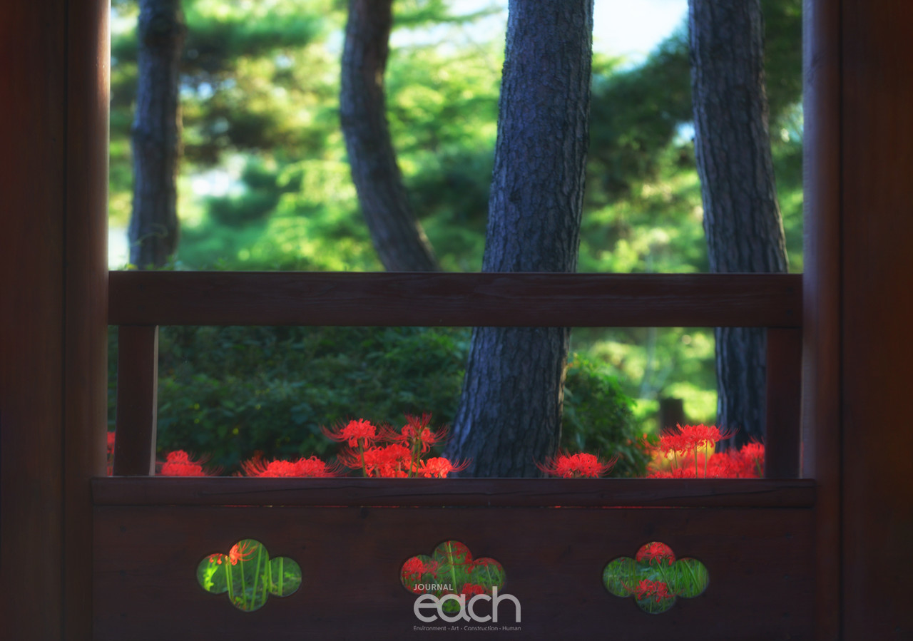 ⓒ 박미애 사진가