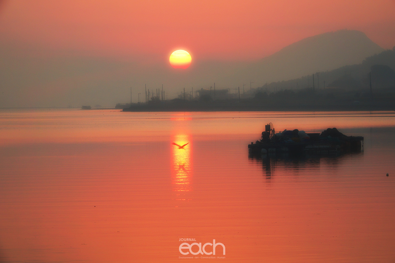 ⓒ 박미애 사진가