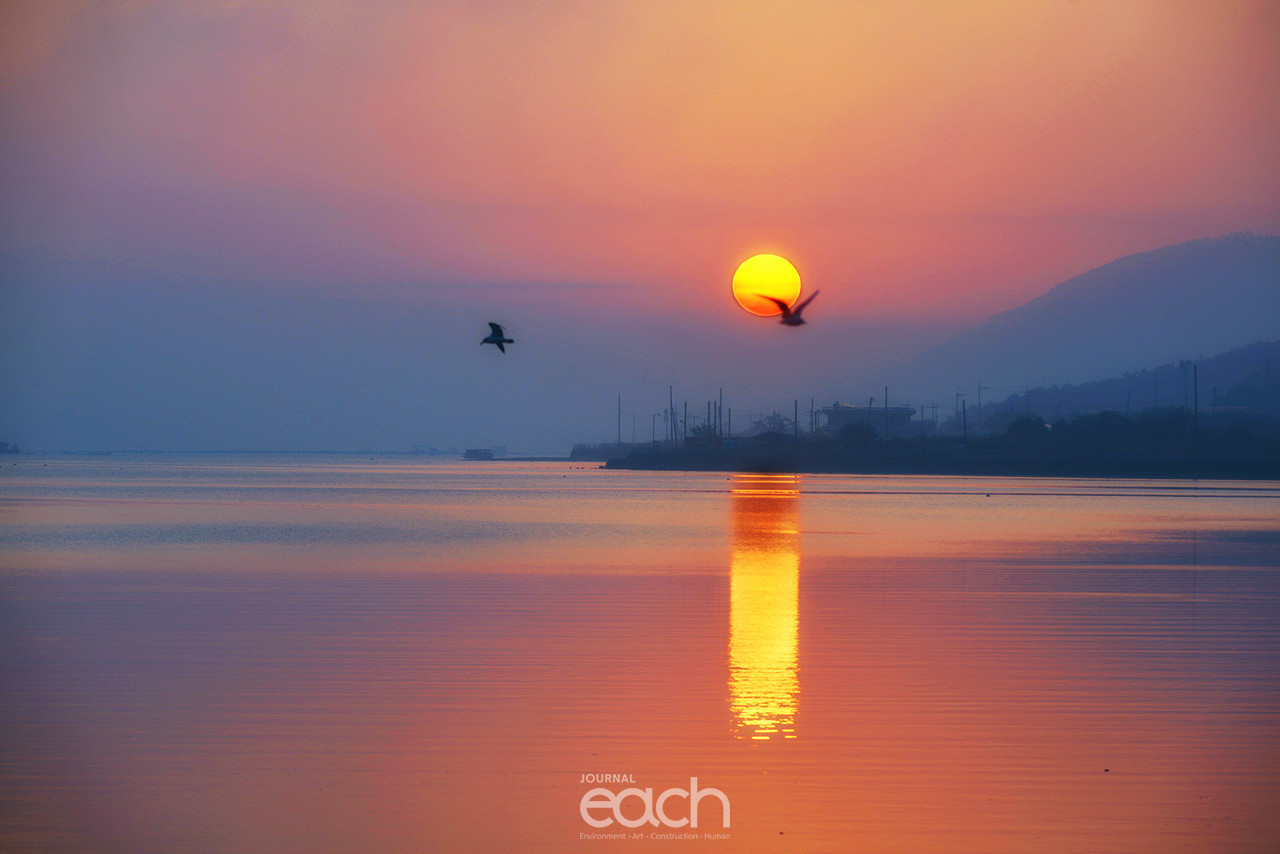 ⓒ 박미애 사진가