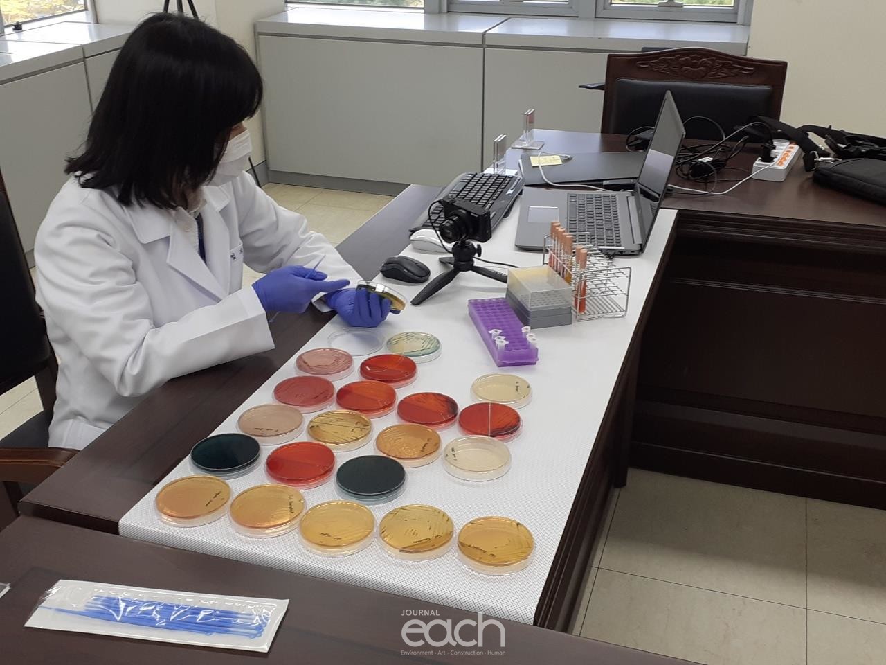 식중독 원인균 검사 온라인 시연 (자료제공 : 경기도보건환경연구원)