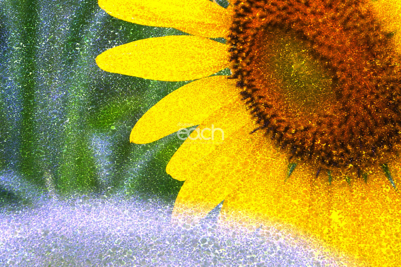 이미지 제공 - 박미애 사진가