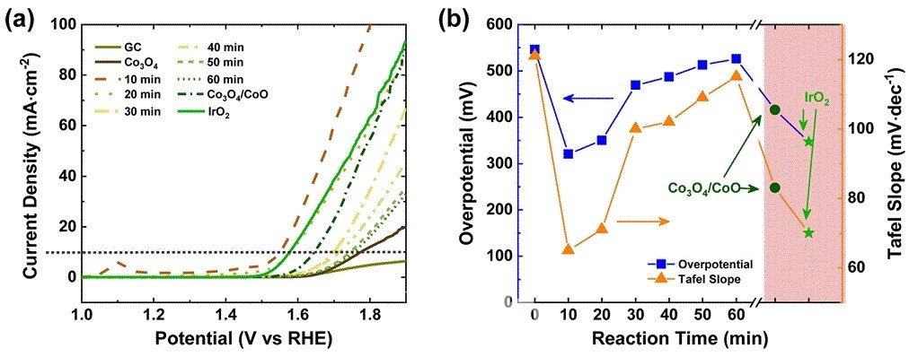 (a) 황화수소 열처리 시간에 따라 생성된 촉매의 산소 발생 반응 효율 비교 결과 및 (b) 반응 시간에 따라 생성된 촉매의 (자료제공 : 경기도)