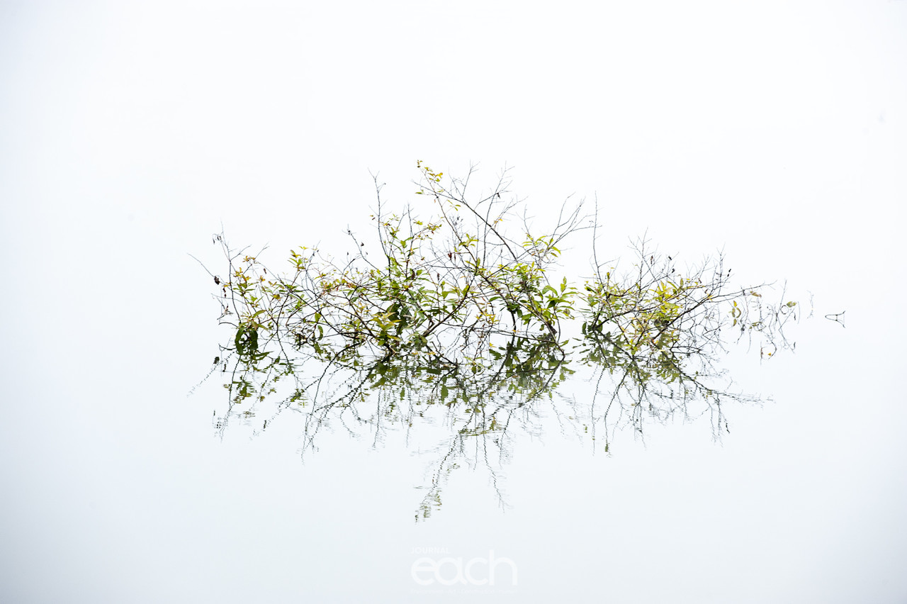 이미지 제공 - 박미애 사진작가