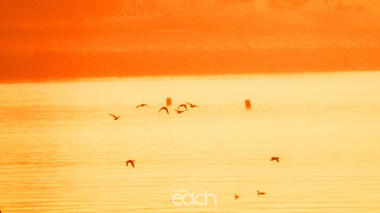 촬영 - 박미애 사진가