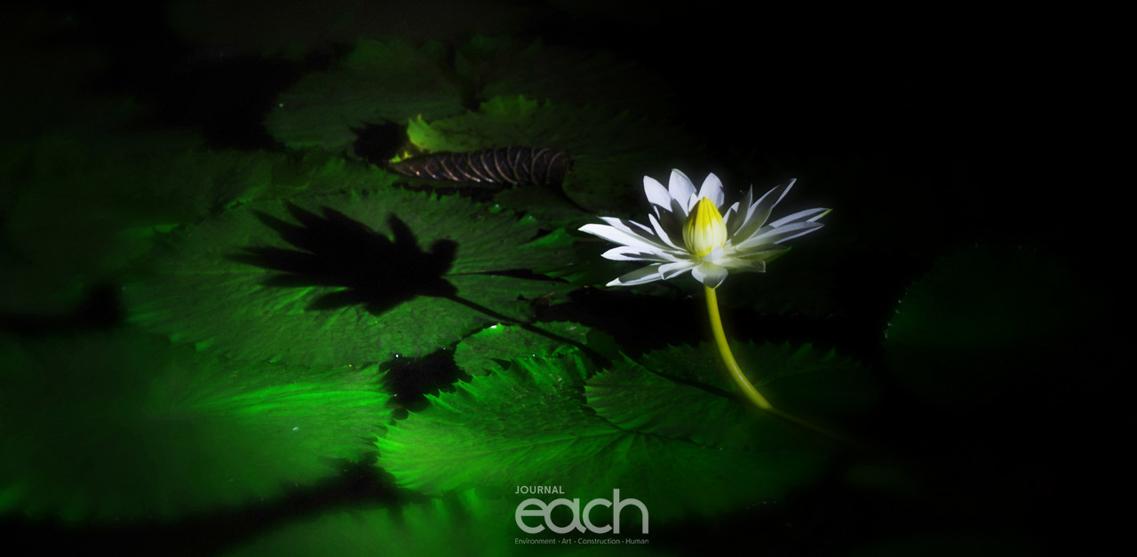 이미지 제공 - 박미애 사진가