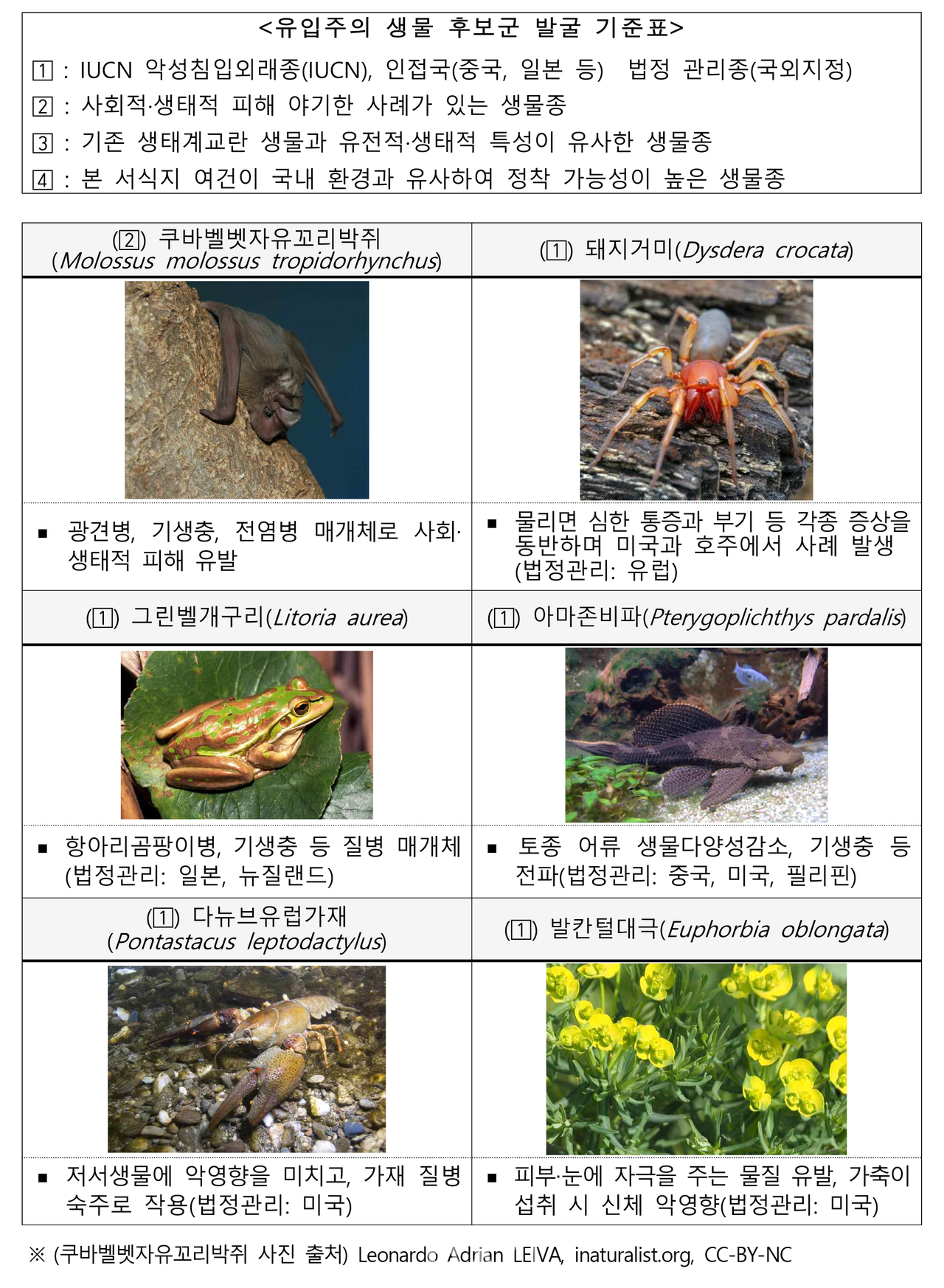 식물과 동물 생태계