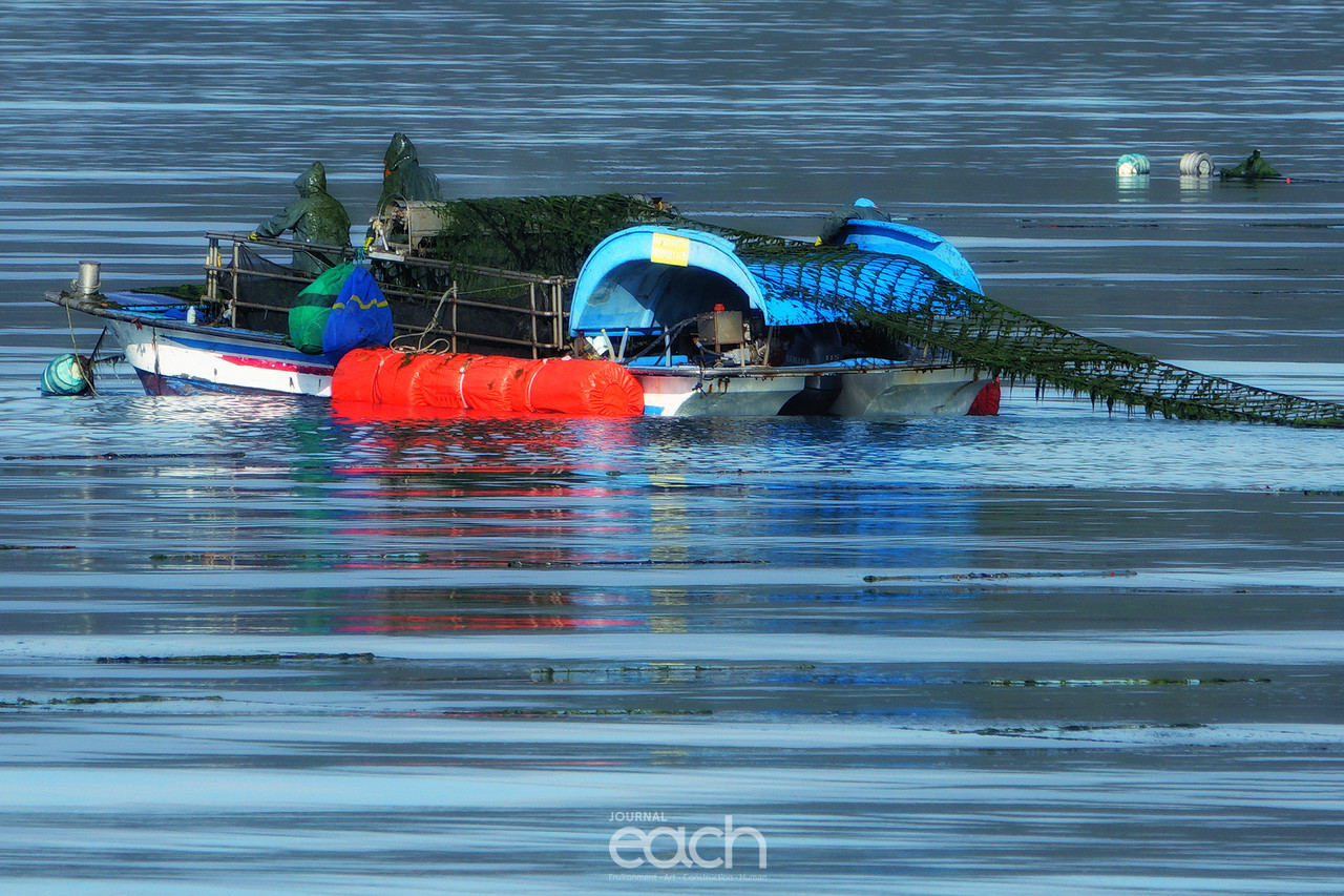 촬영 - 박미애 사진가