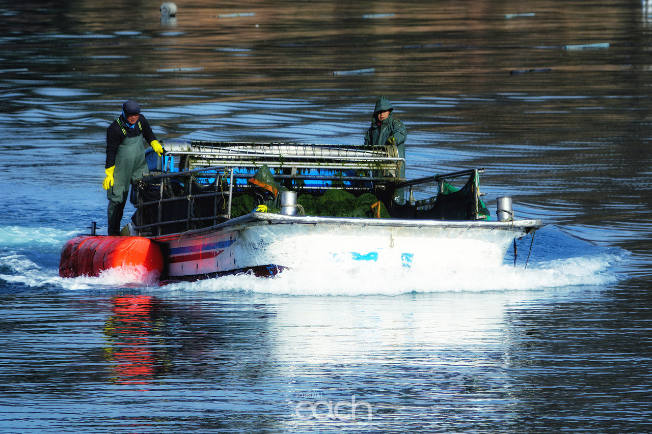 촬영 - 박미애 사진가