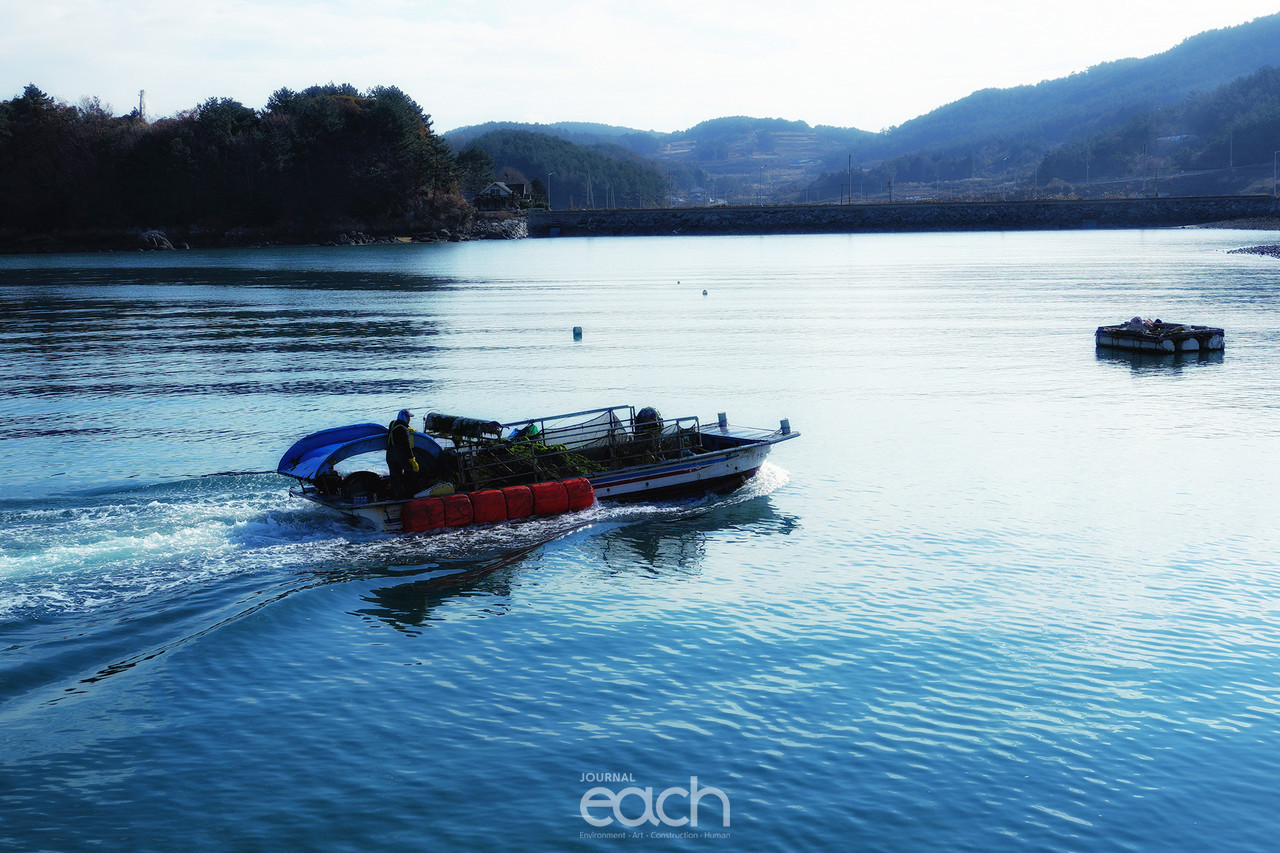 촬영 - 박미애 사진가