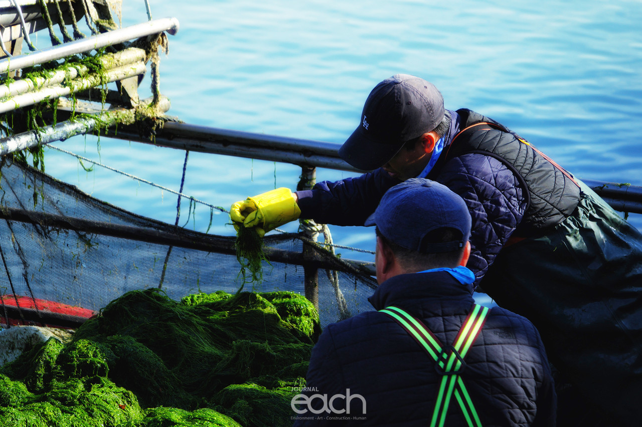 촬영 - 박미애 사진가