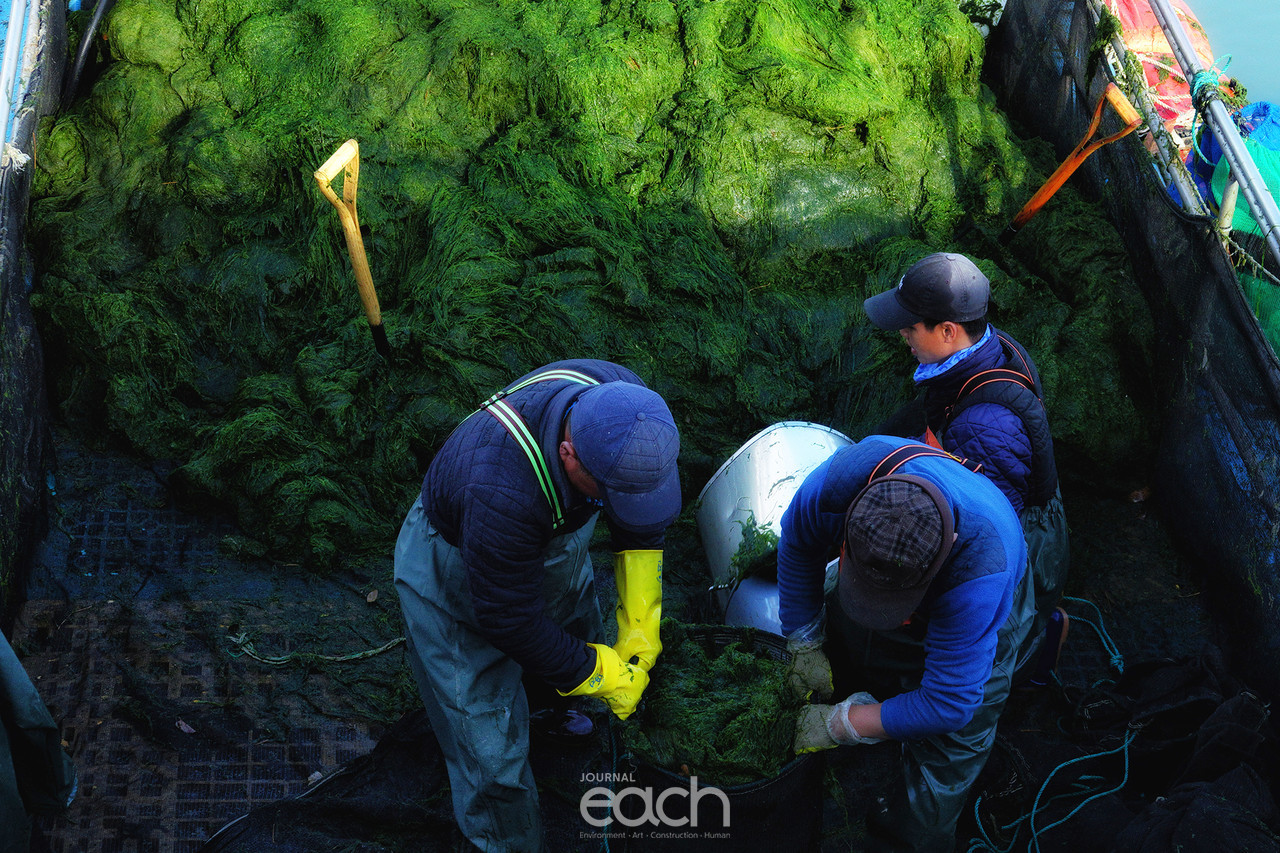 촬영 - 박미애 사진가