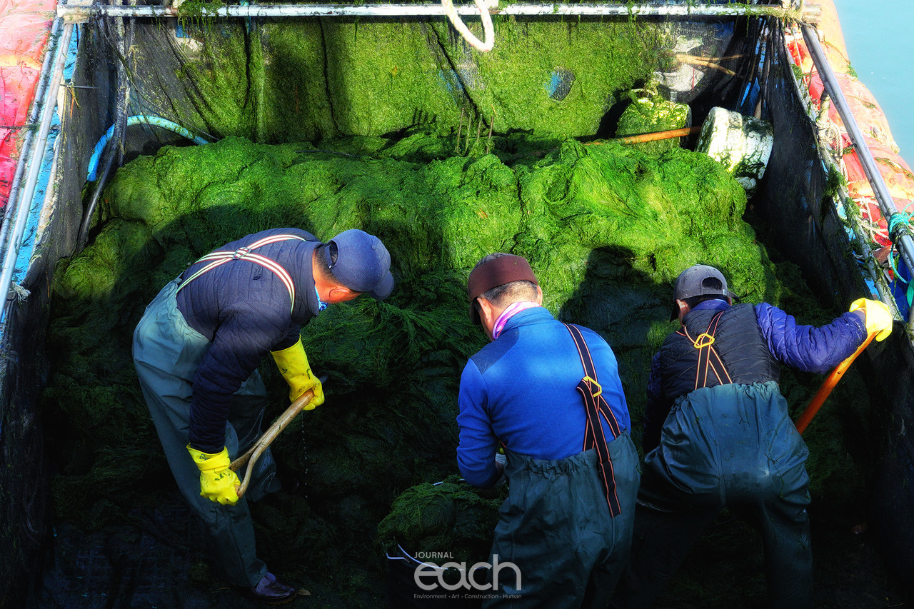 촬영 - 박미애 사진가