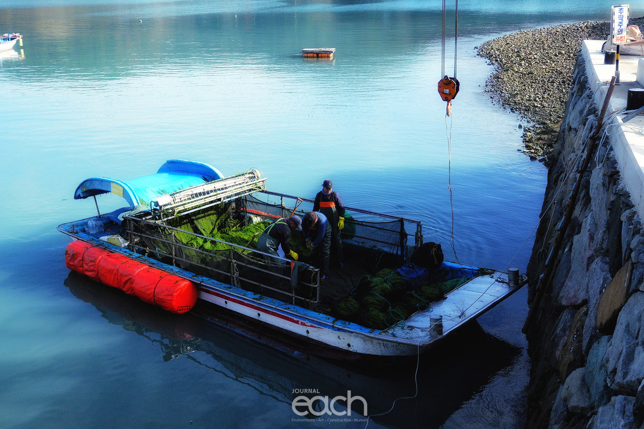 촬영 - 박미애 사진가