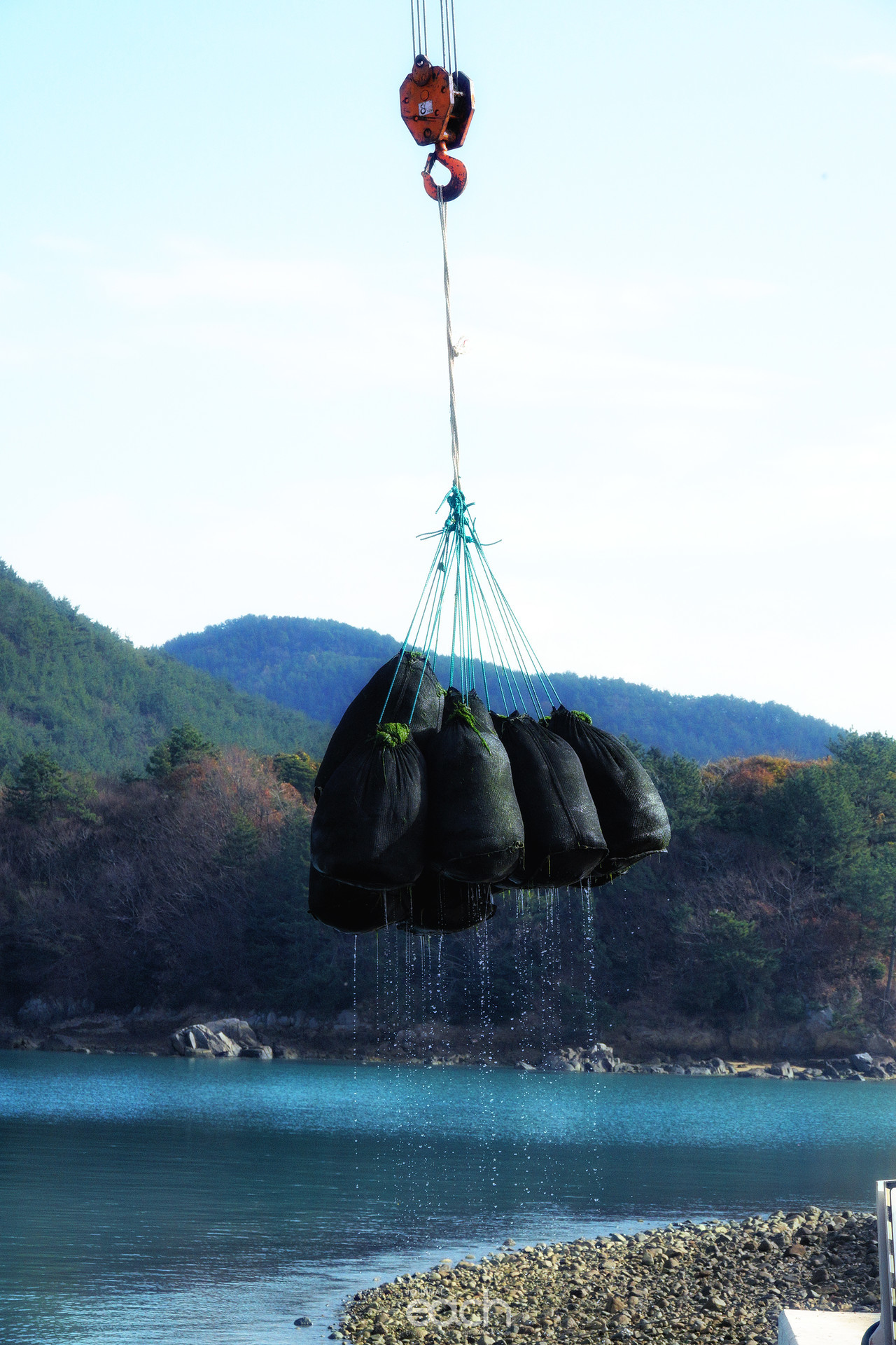 촬영 - 박미애 사진가