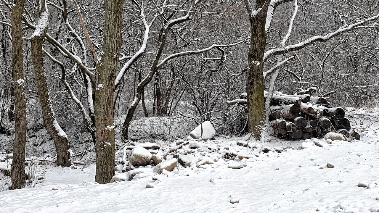 이미지 제공 - 박미애 사진가